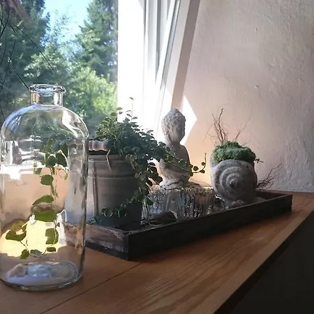 Alt Fischbach Ferienwohnung Lejlighed Friedrichshafen