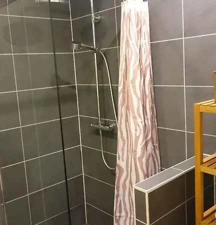 Alt Fischbach Ferienwohnung Lejlighed Friedrichshafen