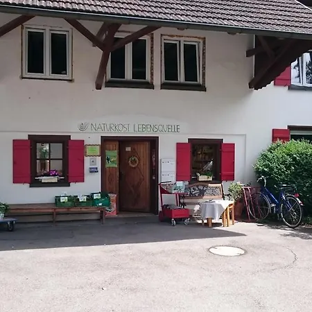 Alt Fischbach Ferienwohnung *
