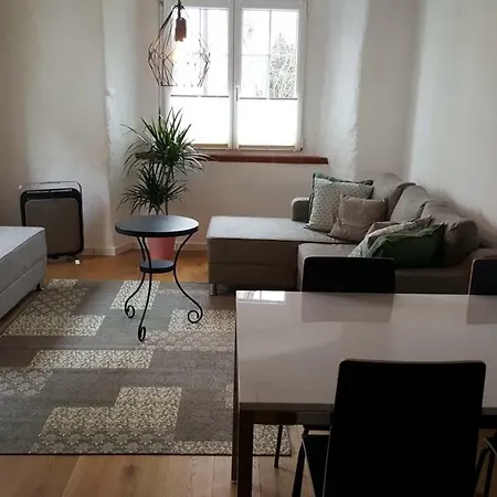 Alt Fischbach Ferienwohnung *